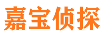 武鸣市调查公司